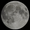 harvest moon 