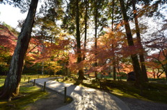 紅葉（本坊へ続く道）