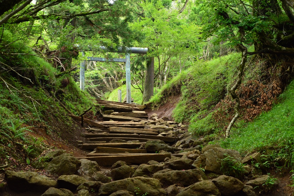 神域へ
