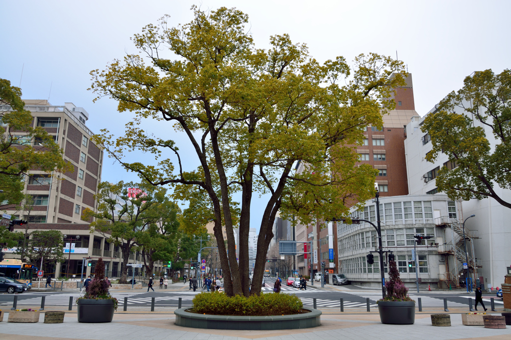 スタジアム周辺２