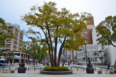 スタジアム周辺２