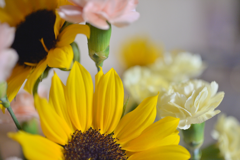 Mother`s Day