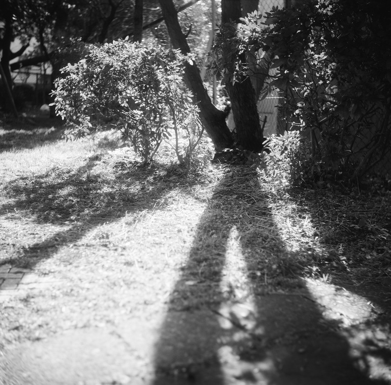 YASHICAFLEX 試写