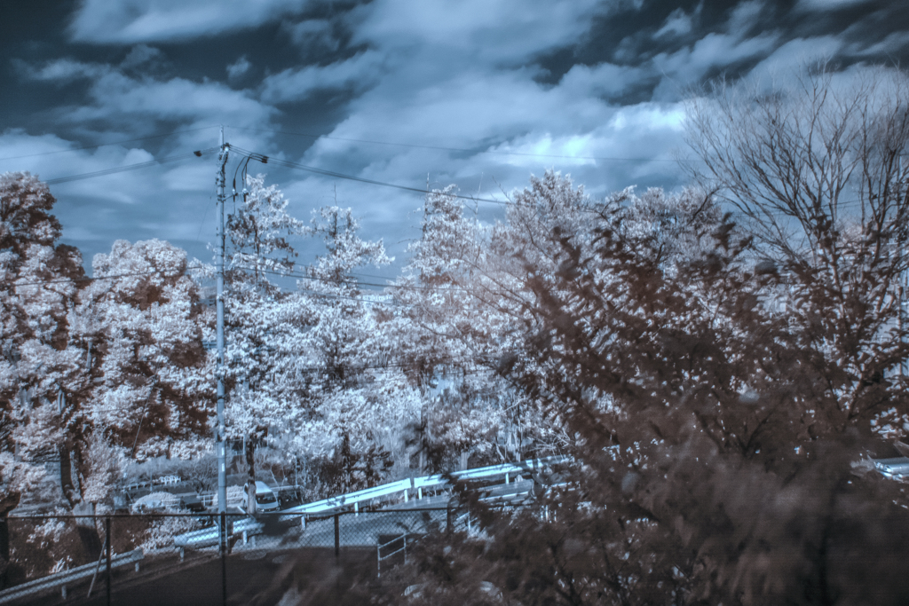 infrared 試写