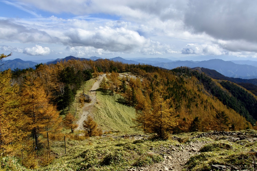 都内最高峰