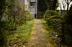 築３０年　1