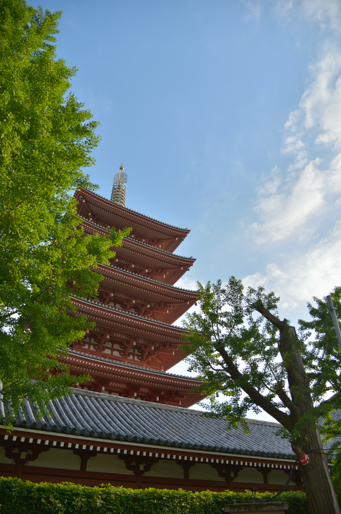 浅草寺