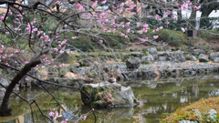 スタジアム周辺１