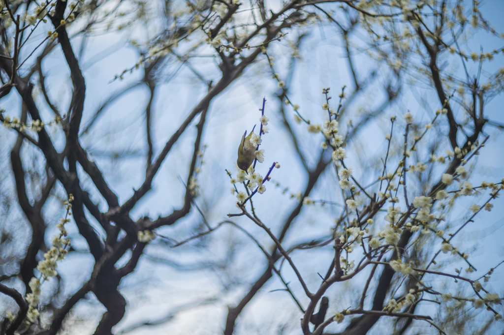 Handheld shooting test 3