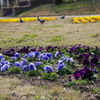 IMGP0122