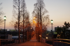 日の暮れた道