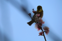 バシャバシャやってると睨まれるようです...