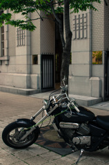 IMGP1365