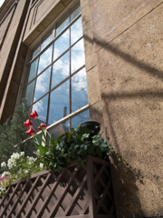 R0010239