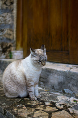 IMGP0485