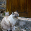 IMGP0485