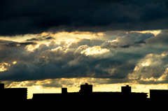 DSC_3196