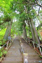 大山登山道