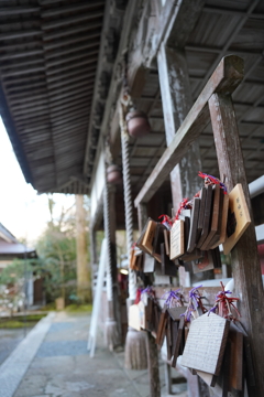 新井崎神社？宇良神社？