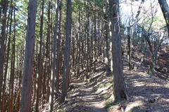 山の中