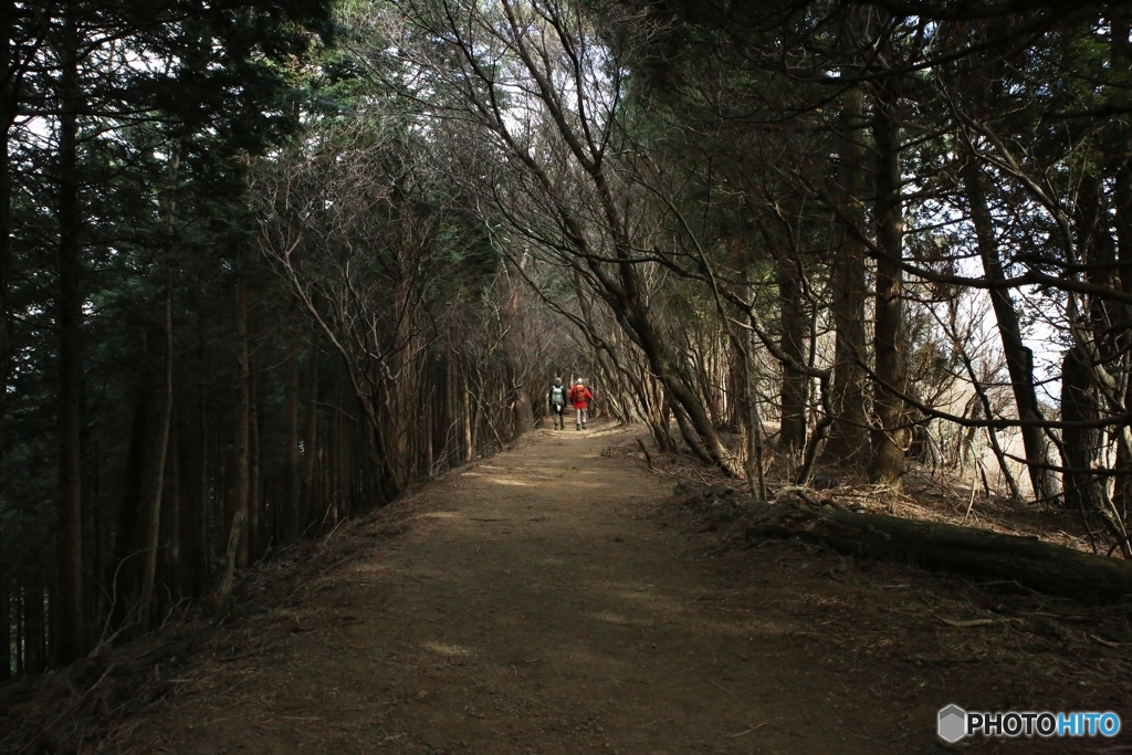 大山　冬の陣