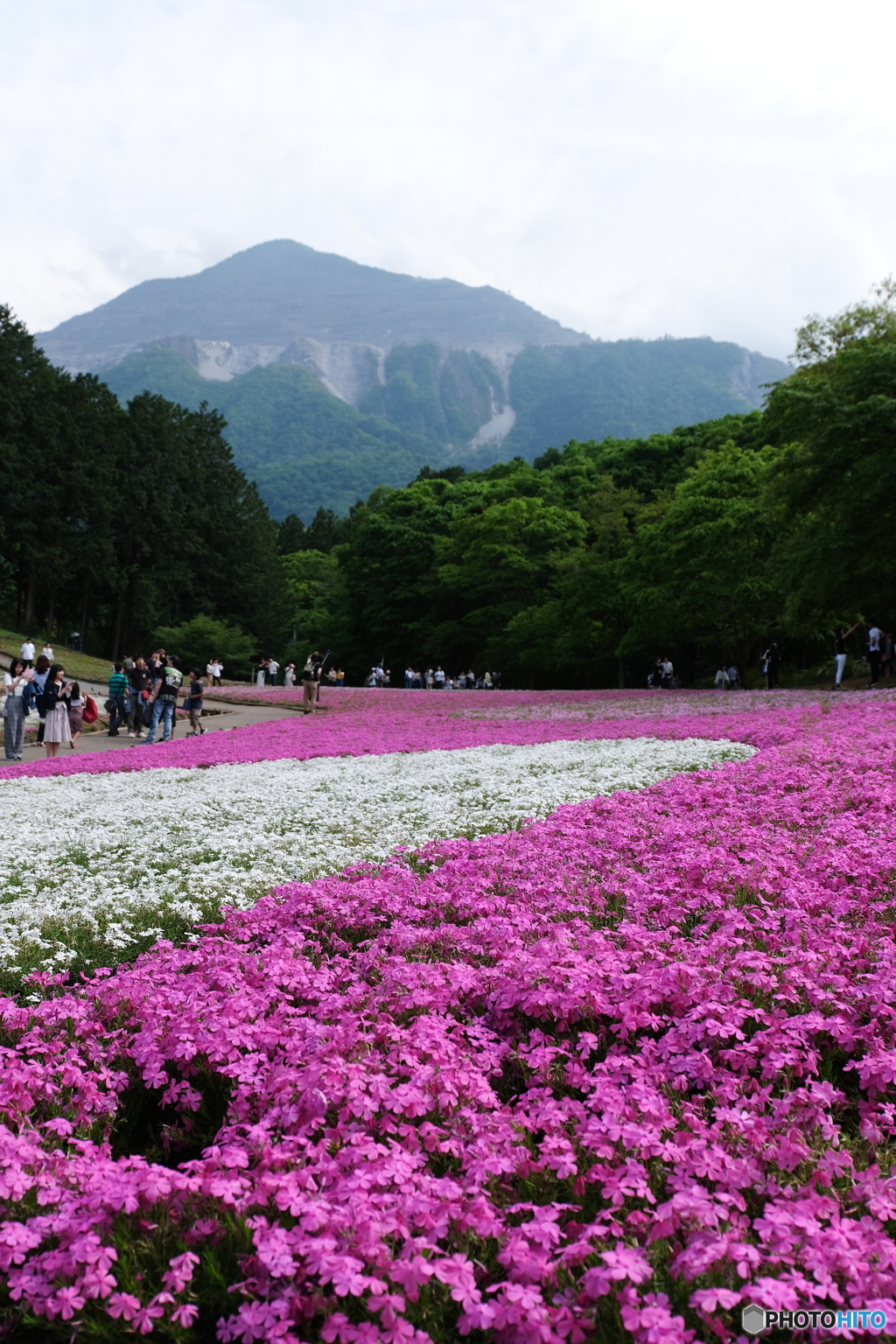 羊山公園