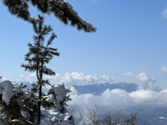 富士山ちょっと見えた