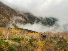 乗鞍の紅葉