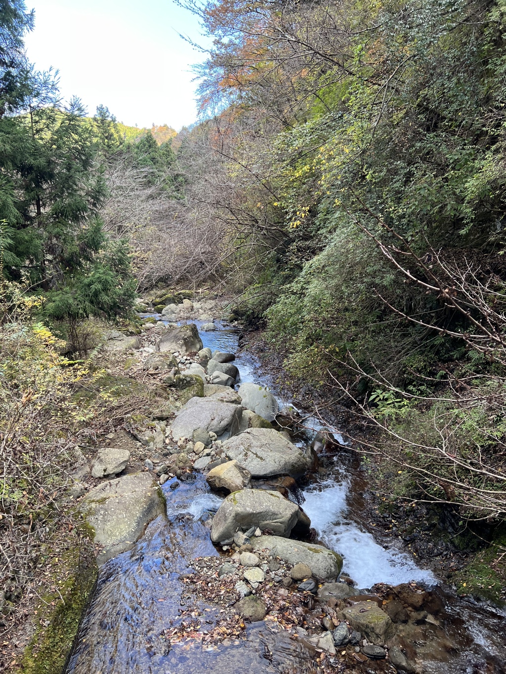さわ