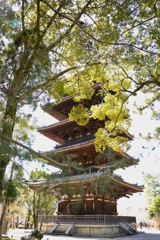 京都にて