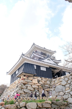 浜松城