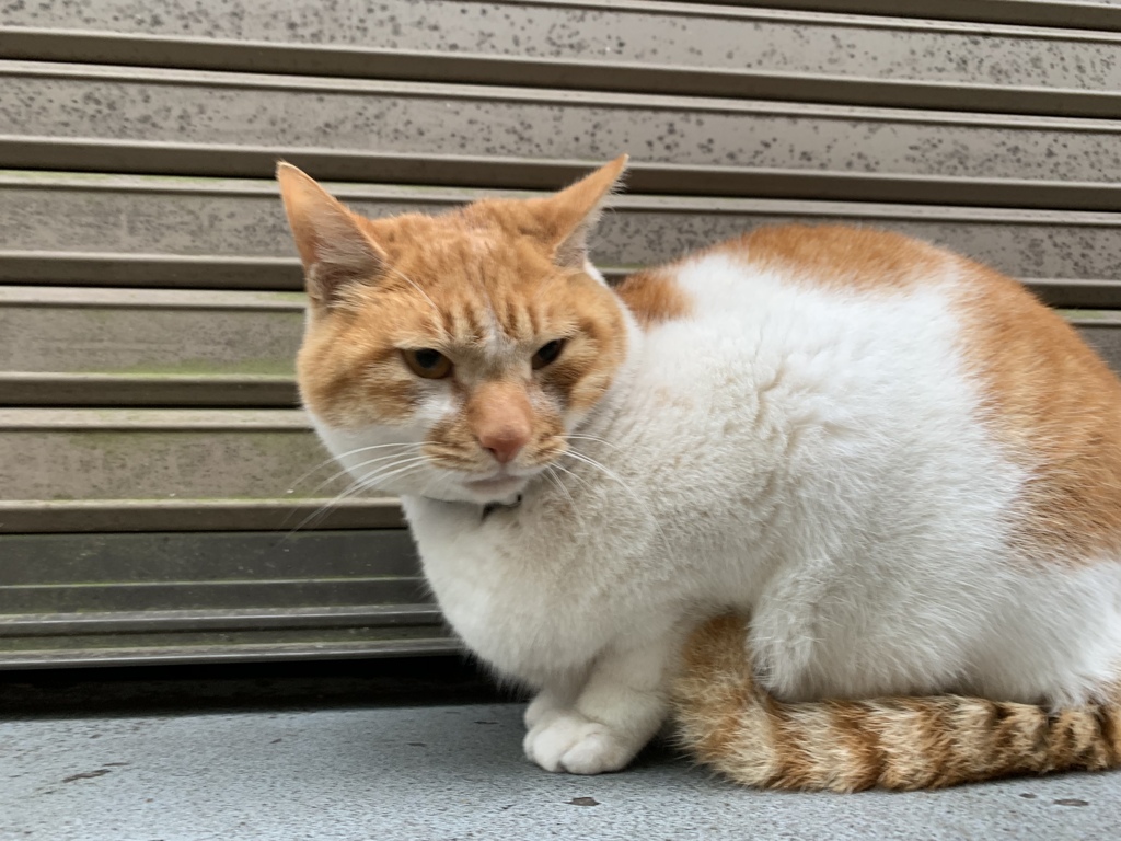 今日もレイちゃんがお見送り