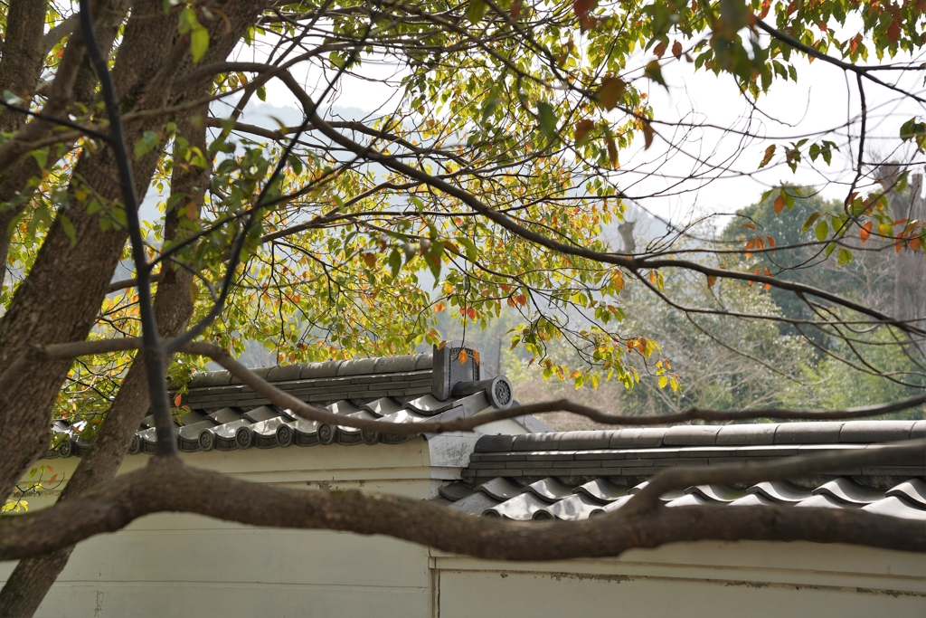 京都にて