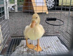 可愛い子いた