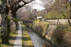 哲学の道