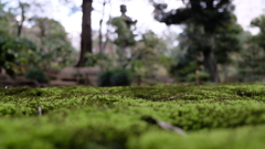 旧古河庭園