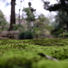 旧古河庭園