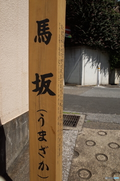 馬坂