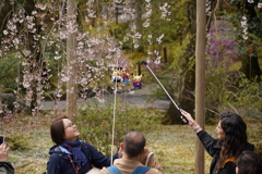 なにかの集い
