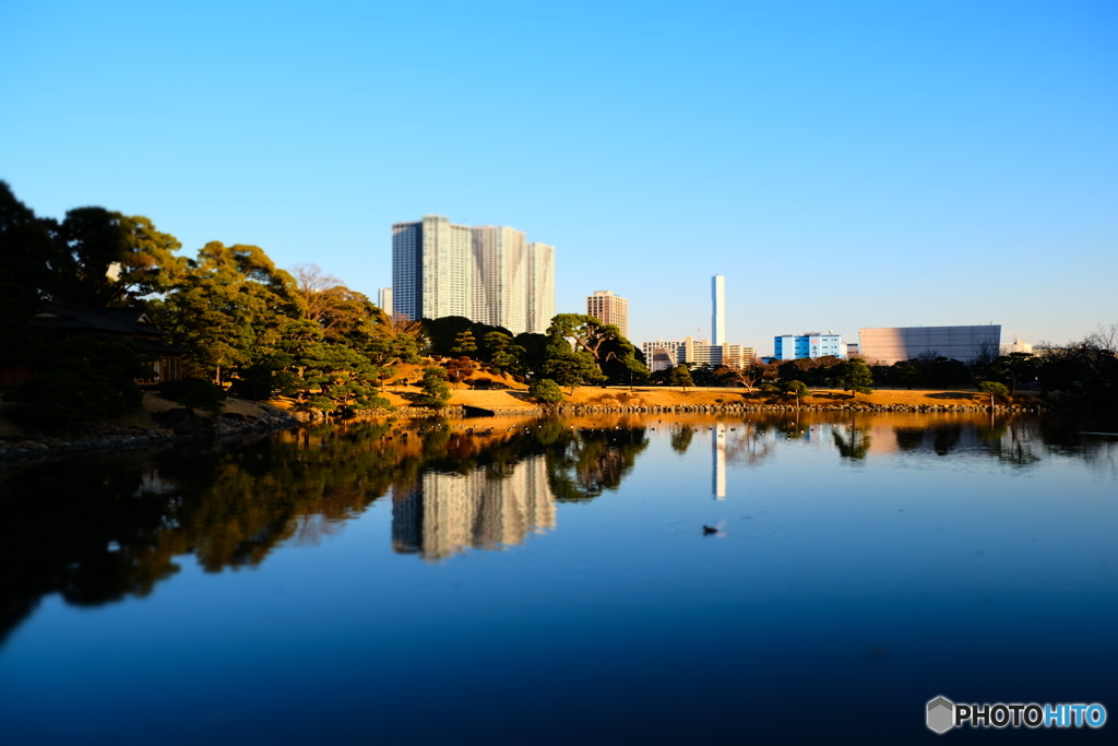 浜離宮恩賜庭園