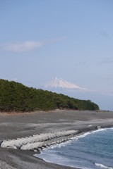三保の松原　2019　03