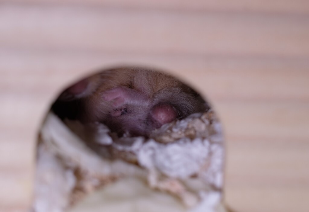 あれ見えてしまってるよ～