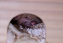 あれ見えてしまってるよ～