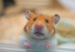 ちょっと～　開けてよ