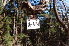 受験生はみてはいけないやつだ