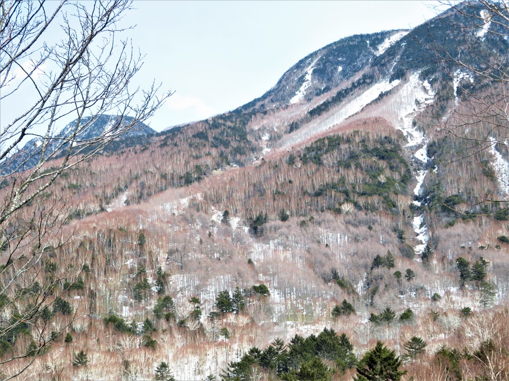 日光の雪山 2019