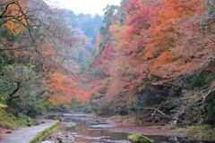 紅葉も下り坂