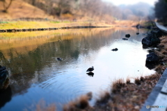 四季の森公園