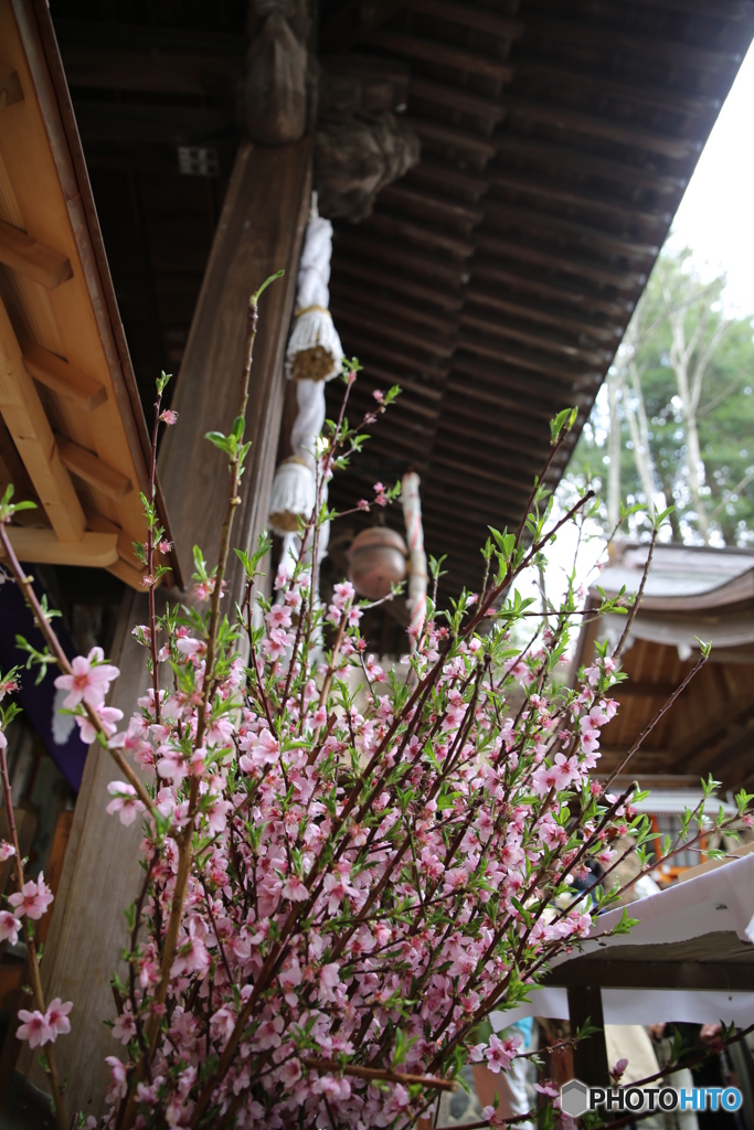 新倉山浅間公園