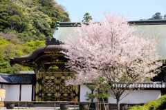 唐門